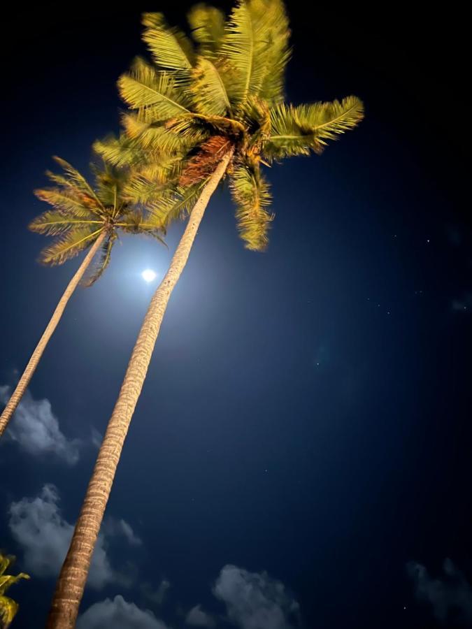 Kanaha Beach Villa 伊卡莱 外观 照片