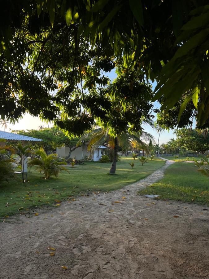 Kanaha Beach Villa 伊卡莱 外观 照片