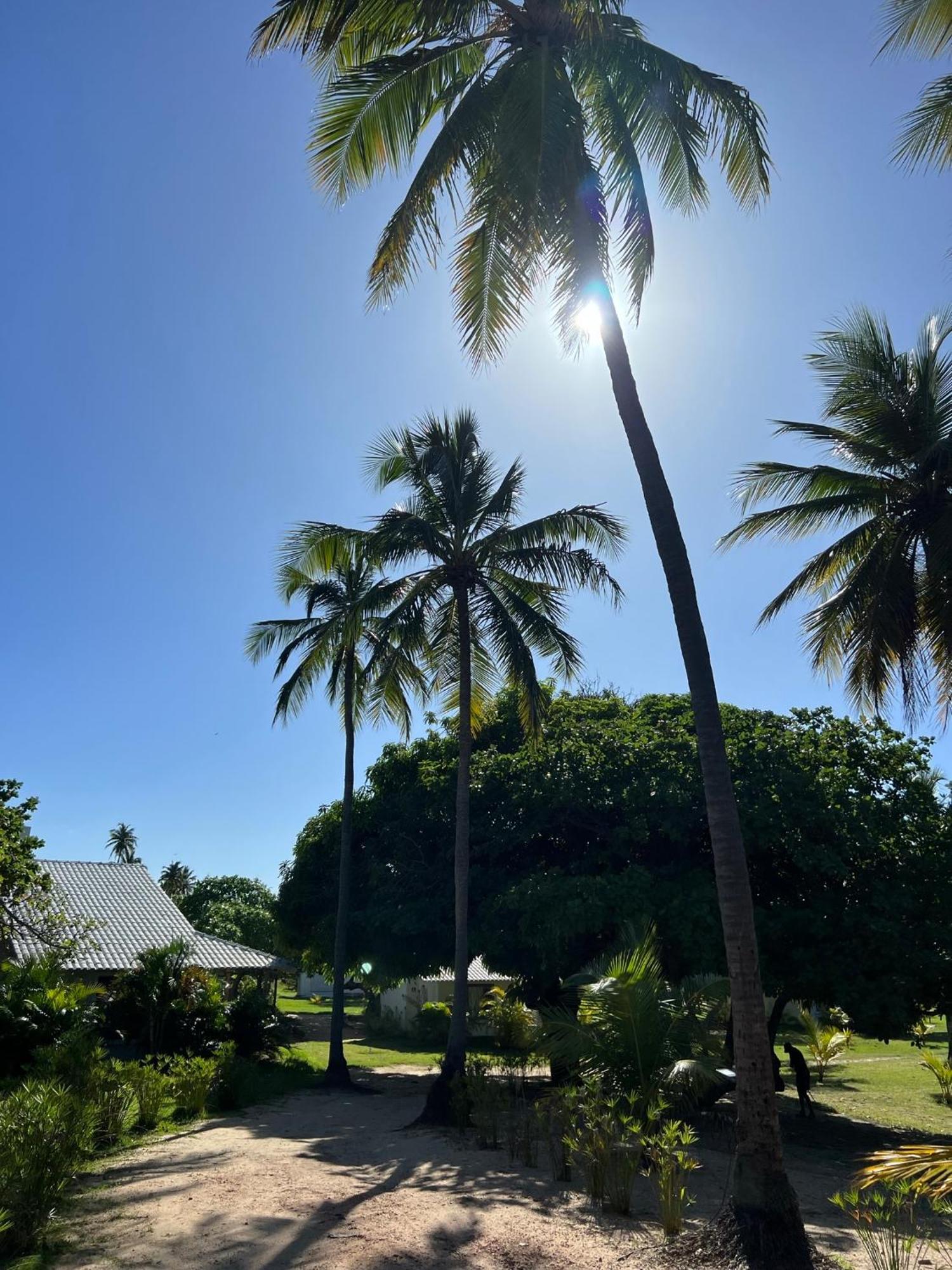 Kanaha Beach Villa 伊卡莱 外观 照片