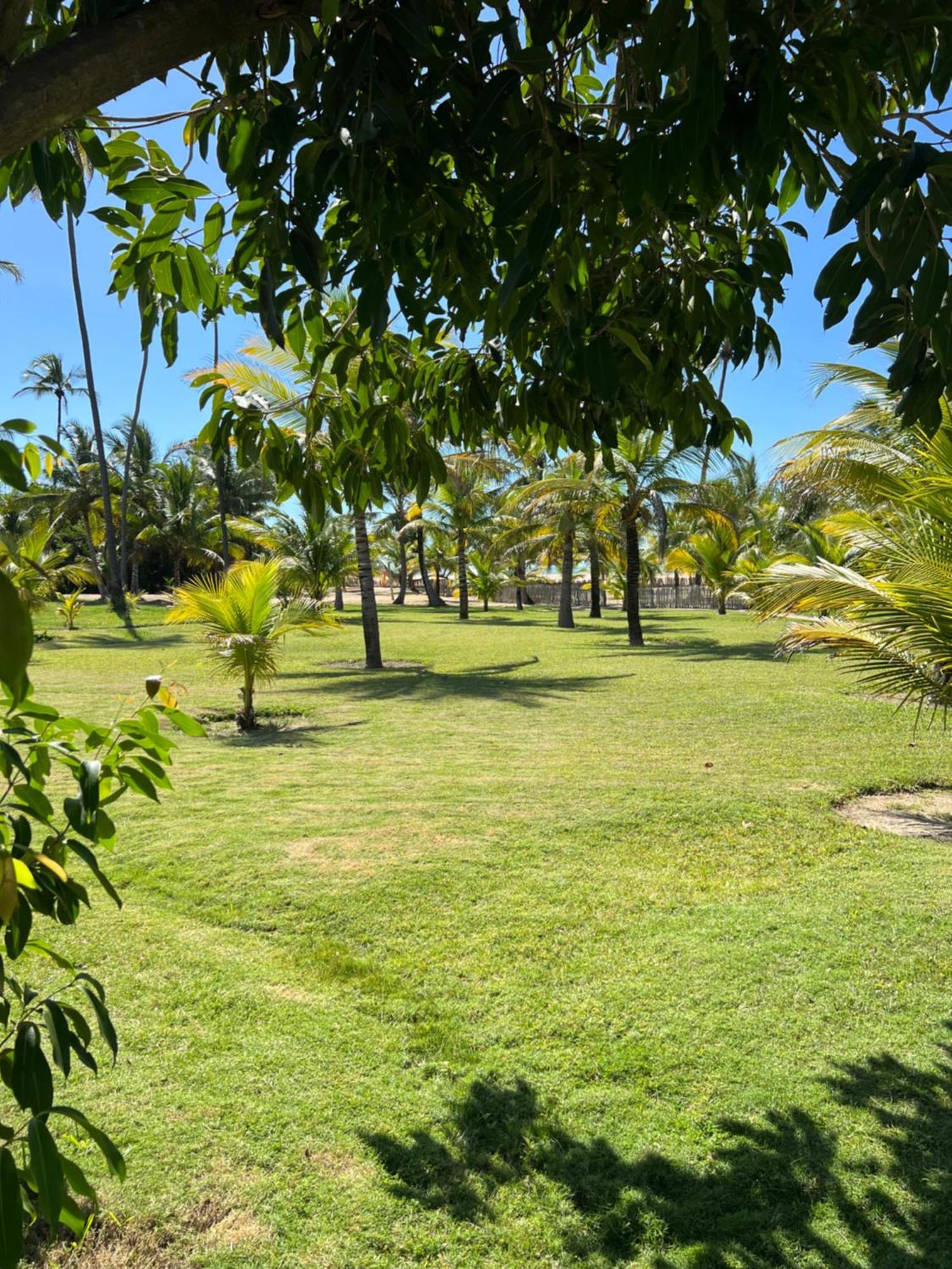 Kanaha Beach Villa 伊卡莱 外观 照片